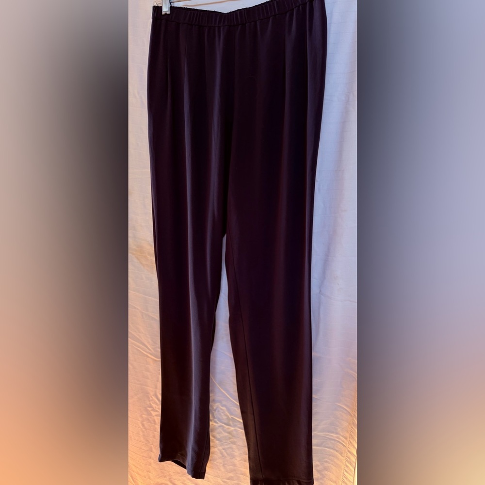 Eileen Fisher XS/S 100% silk navy pull on pants